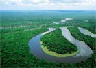 Las amazoński znika w zastraszającym tempie.