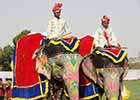 Festiwal Słoni i Święto Holi w Jaipurze
