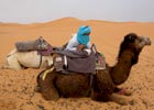 Maroko - transport i poruszanie się na własną rękę