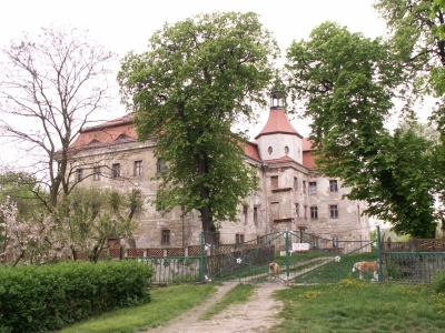 Zdjęcie z Polski - Pałac w Domanicach