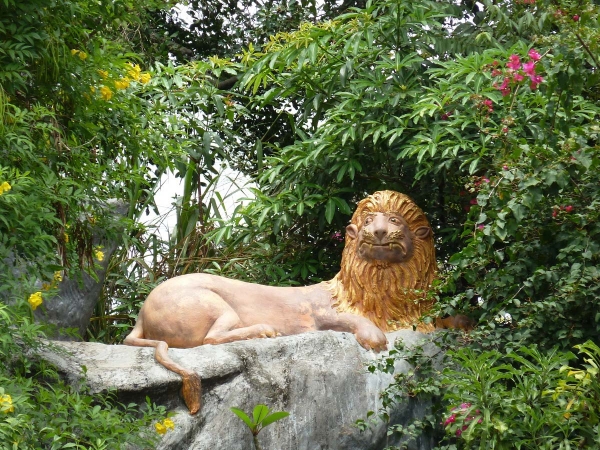Zdjęcie ze Sri Lanki - ogrody dambulla