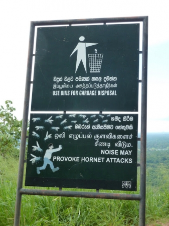 Zdjęcie ze Sri Lanki - nie wkurzac szerszeni :)