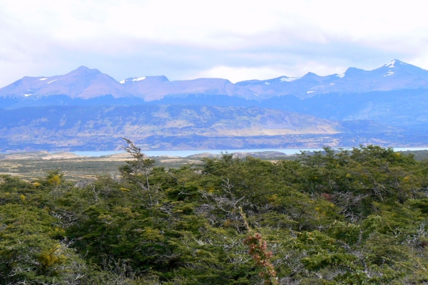 Zdjęcie z Chile - okolice Puerto Natales