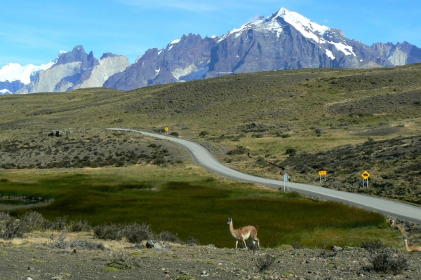 Zdjecie - Chile - Torres del Paine
