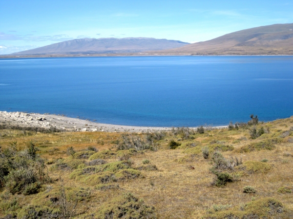 Zdjęcie z Chile - Lago Sarmiento