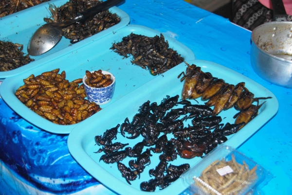 Zdjęcie z Tajlandii - Pieczone skorpiony, zuki,
