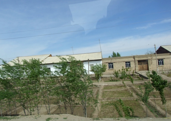Zdjęcie z Uzbekistanu - przydomowe uprawy