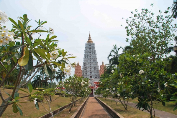 Zdjęcie z Tajlandii - Kompleks swiatyn Wat Yan