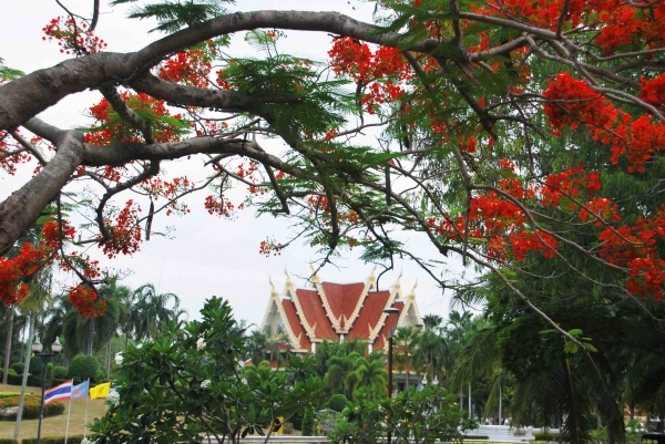 Zdjęcie z Tajlandii - Ogrody wokol Wat Yan