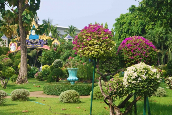 Zdjęcie z Tajlandii - Hotelowe ogrody