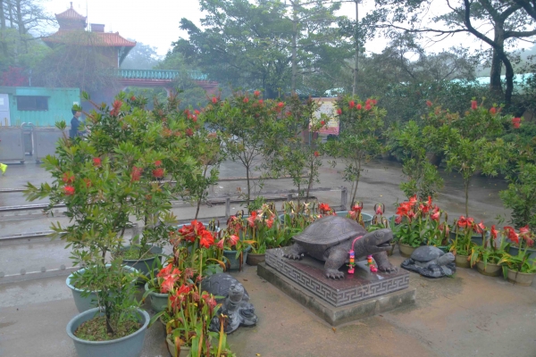 Zdjęcie z Chińskiej Republiki Ludowej - Teren klasztoru Po Lin