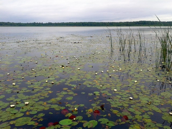 Zdjęcie z Polski - Jezioro Łukie.