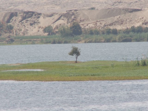 Zdjęcie z Egiptu - Rozlewiska Nilu