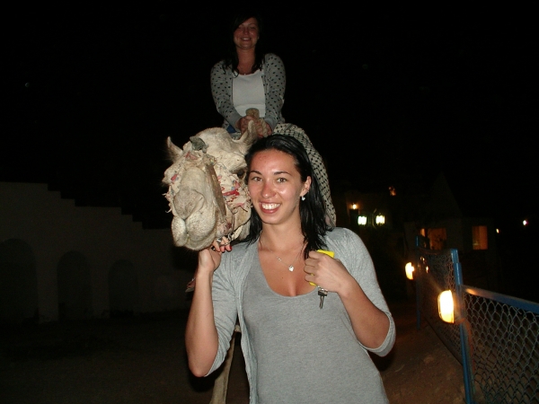 Zdjęcie z Egiptu - szczęśliwy wielbłąd