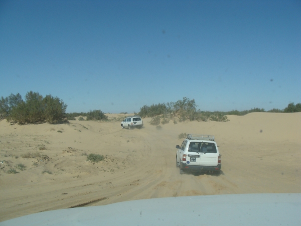 Zdjęcie z Tunezji - Jeep Sahara