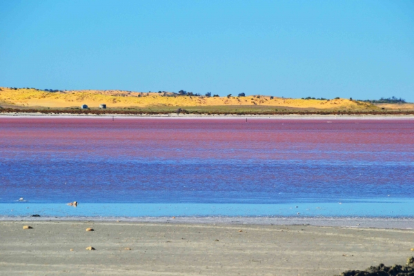 Zdjęcie z Australii - Slone jezioro Pink Lake