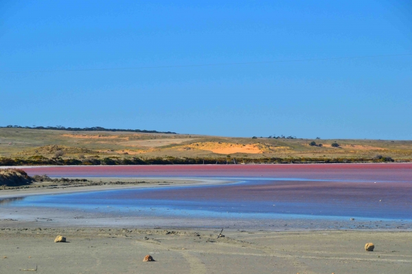 Zdjęcie z Australii - Pink Lake
