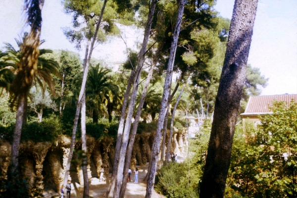Zdjęcie z Hiszpanii - park Guell