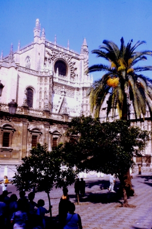 Zdjęcie z Hiszpanii - katedra w Sewilli