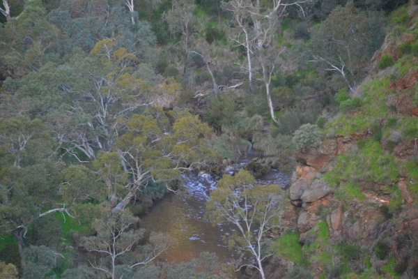 Zdjęcie z Australii - Onkaparinga River plynaca