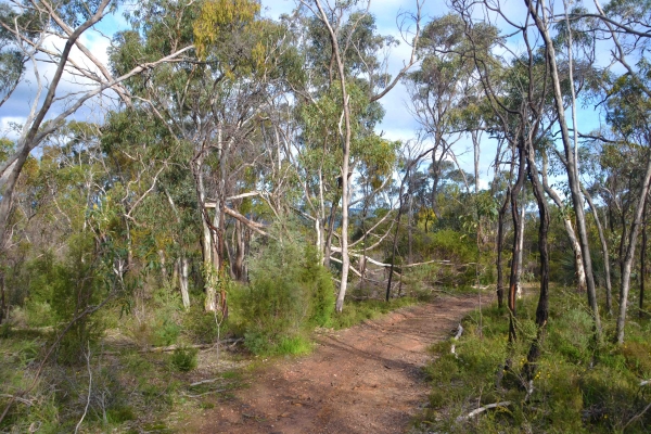Zdjęcie z Australii - Szlak Echidna Trail