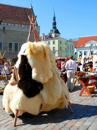 Zdjecie - Estonia - Tallin