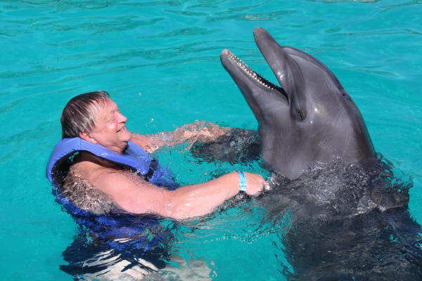 Zdjęcie z Meksyku - Delfiny