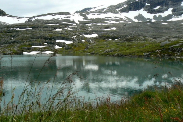 Zdjęcie z Norwegii - okolice Geiranger