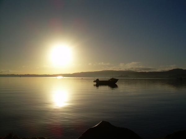 Zdjęcie z Nowej Zelandii - Poranek w Rotorua