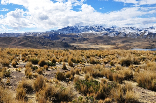 Zdjęcie z Peru - gdzieś w Andach