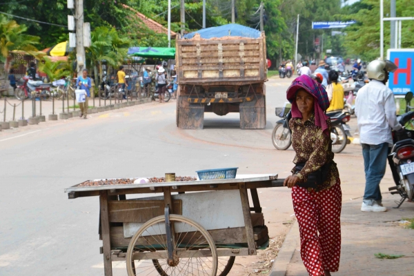 Zdjęcie z Kambodży - Sprzedawczyni slimakow
