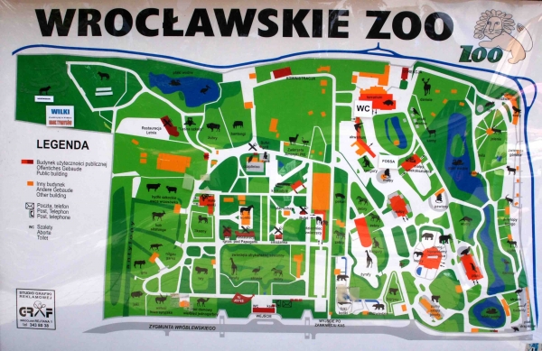 Zdjecie - Polska - Wrocław - Zoo