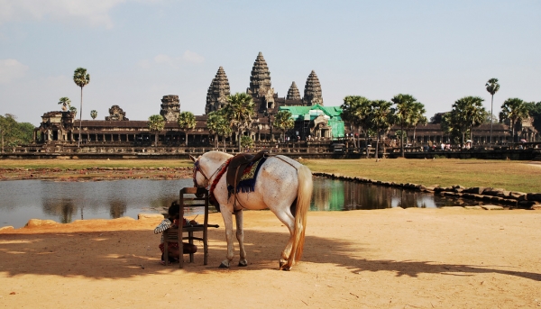Zdjecie - Kambodża - Angkor Wat i Banteay Kdei