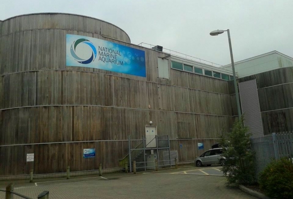 Zdjęcie z Wielkiej Brytanii -  National Marine Aquarium w Plymouth