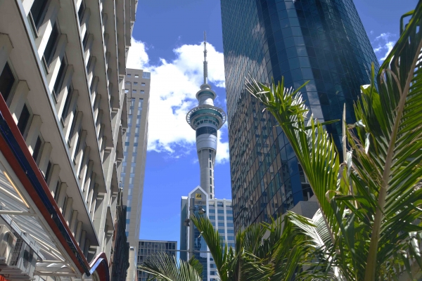 Zdjęcie z Nowej Zelandii - Wieza Auckland Sky Tower