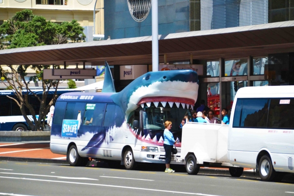 Zdjęcie z Nowej Zelandii - Smieszny autobus :)