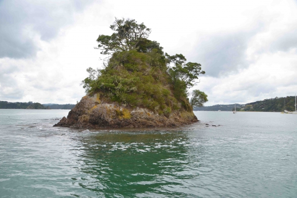 Zdjęcie z Nowej Zelandii - Jedna z wielu wysepek na Bay of Islands