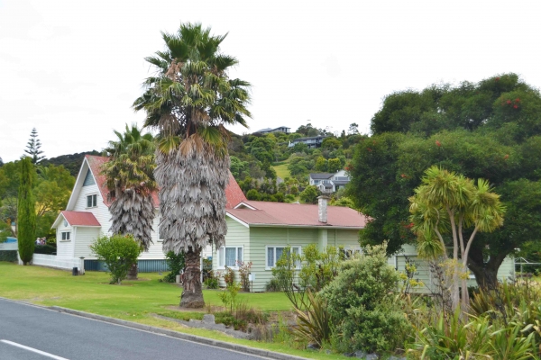 Zdjęcie z Nowej Zelandii - Stare drewniane domy w Russel