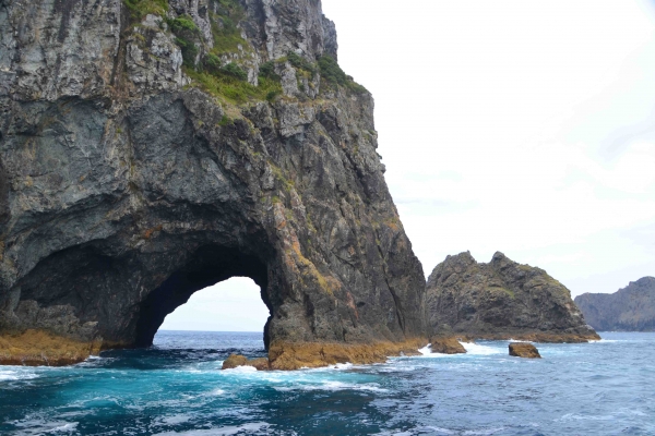 Zdjęcie z Nowej Zelandii - Motukokako czyli Hole in the Rock
