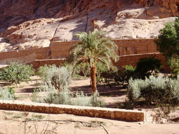 Zdjęcie z Egiptu - W Klasztorze  Św. Katarzyny.
