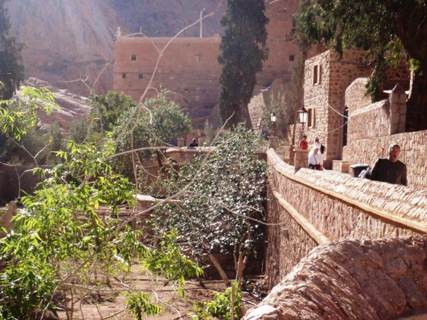 Zdjęcie z Egiptu - W Klasztorze  Św. Katarzyny.
