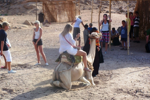 Zdjęcie z Egiptu - Wycieczka na Safari.