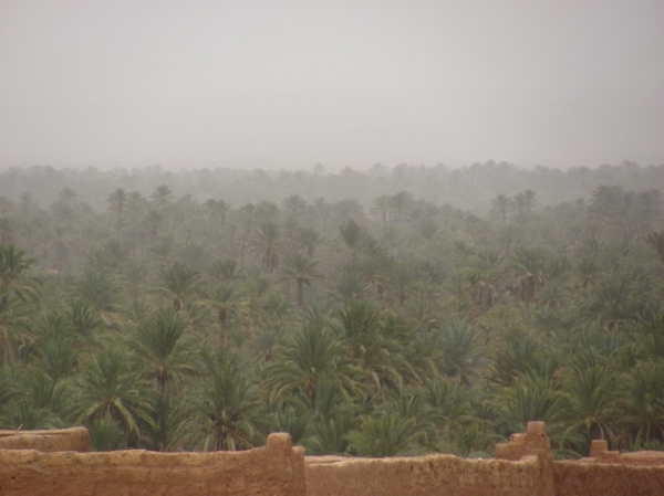 Zdjęcie z Maroka - Ksar Tisirgat.