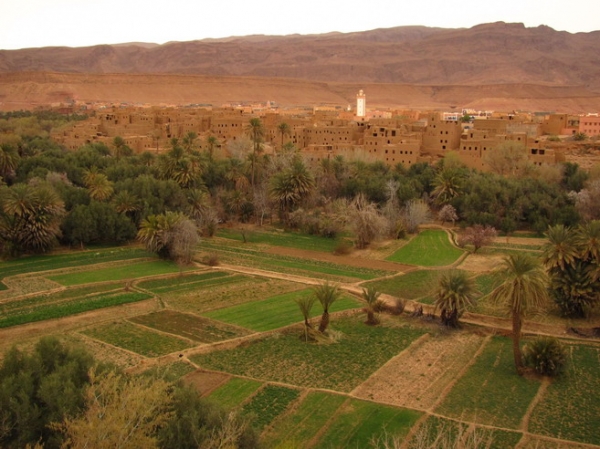 Zdjęcie z Maroka - Dolina Draa.