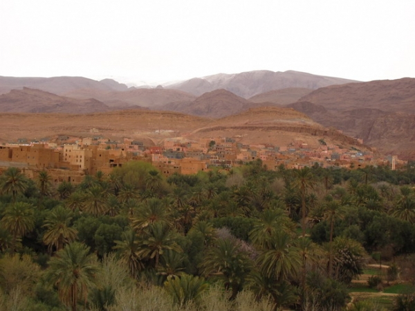 Zdjęcie z Maroka - Dolina Draa.