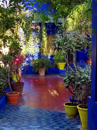 Zdjęcie z Maroka - Marrakesz - ogród Majorelle.