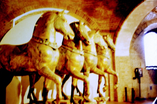 Zdjęcie z Włoch - oryginały koni