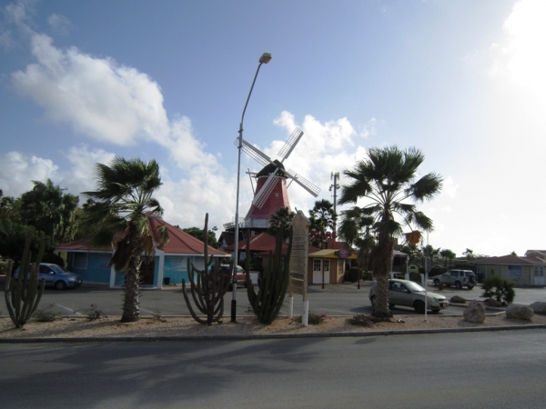 Zdjęcie z Aruby - jedyny wiatrak na Arubie
