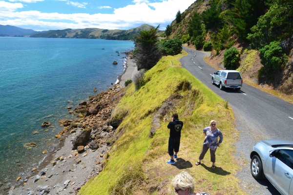 Zdjęcie z Nowej Zelandii - Półwysep Coromandel