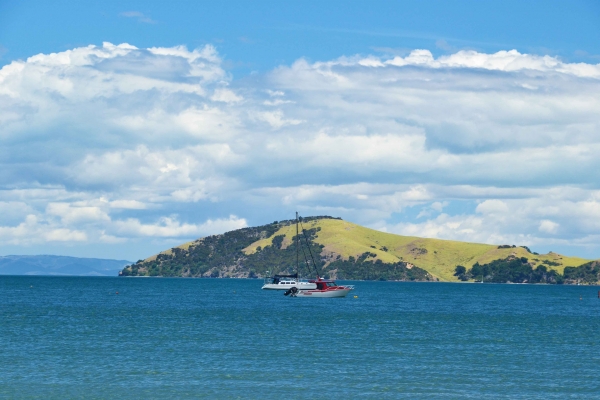 Zdjęcie z Nowej Zelandii - Jedna z prywatnych wysepek